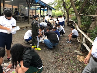 修学旅行31