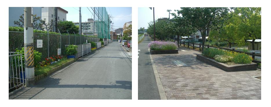 道路脇のフェンス横に植えられた花、歩道に作られた花壇にきれいに植えられた花の写真