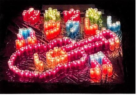 美しいで賞 ウキウキウクレレクラブ