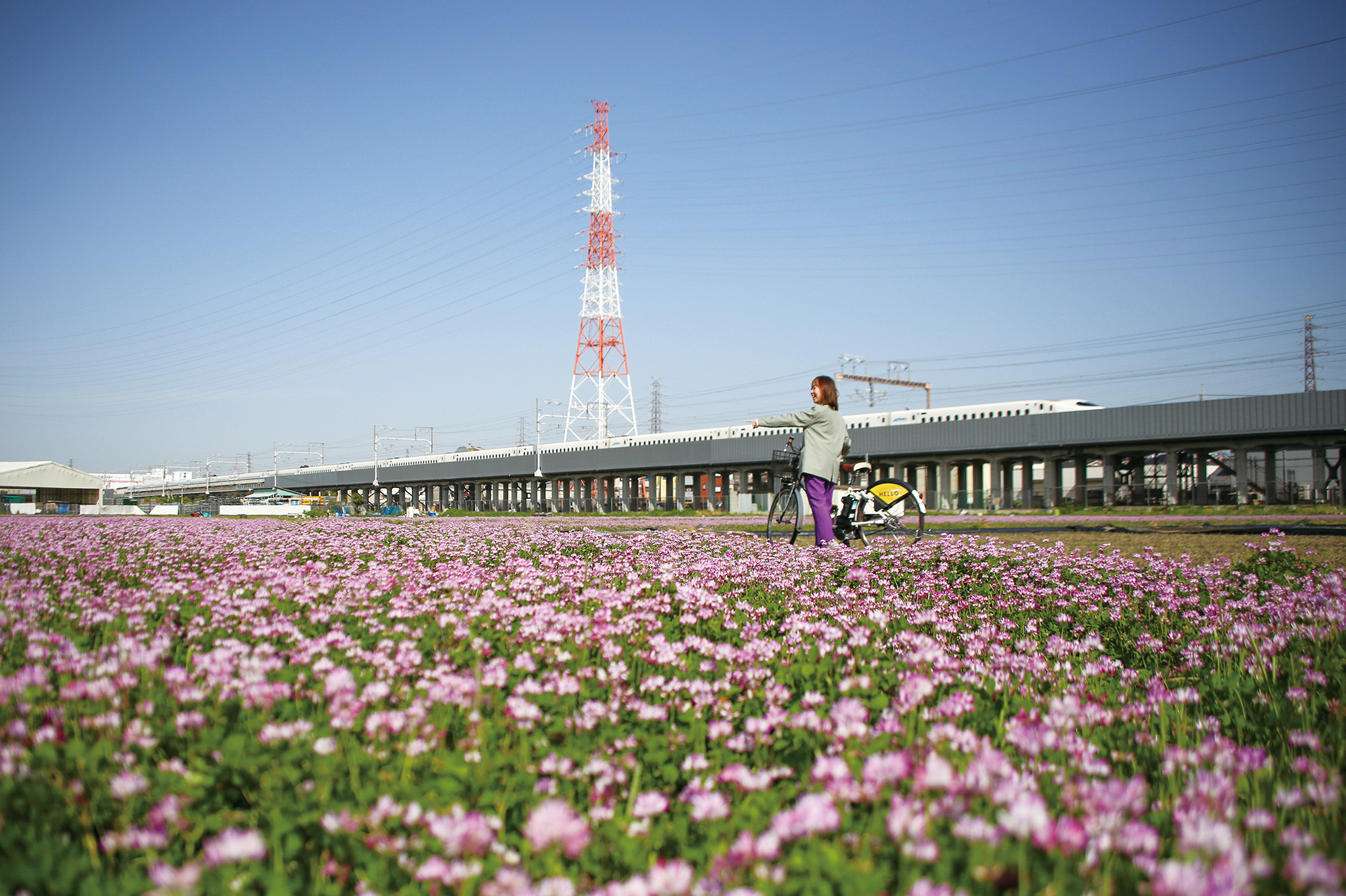 春にはレンゲ畑がひろがる