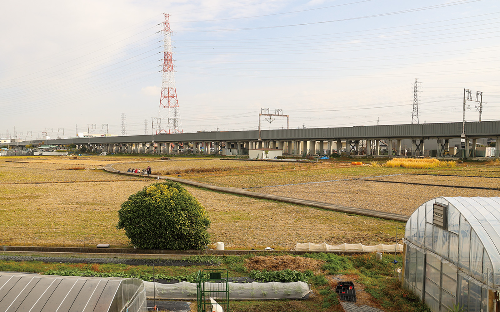 鳥飼八町の田園風景