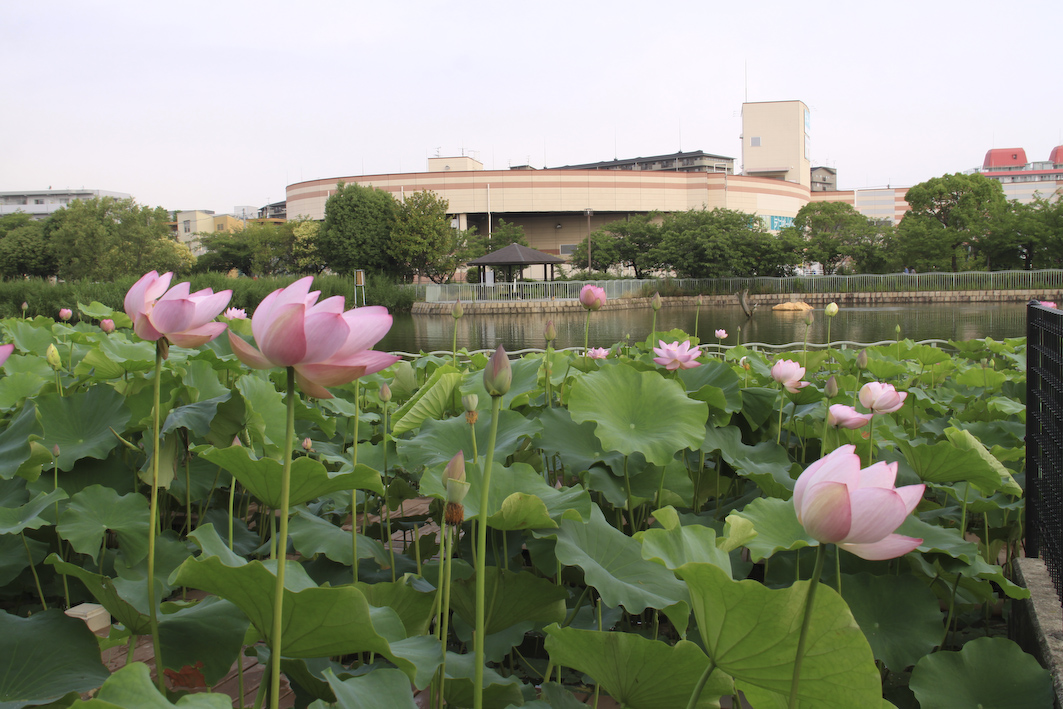 市場池オアシス広場