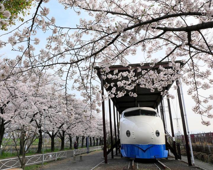 新幹線公園