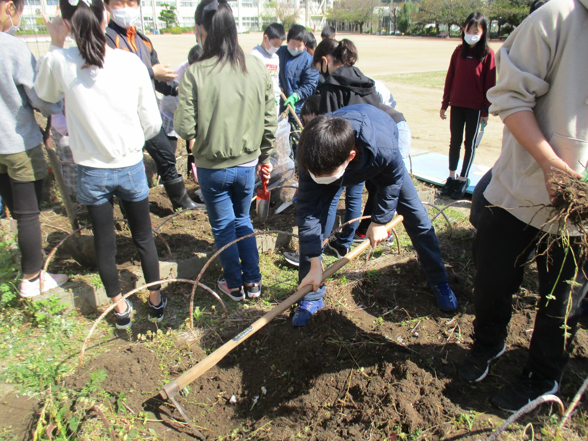 学級園の準備