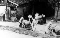 昭和25年頃の米の供出の写真