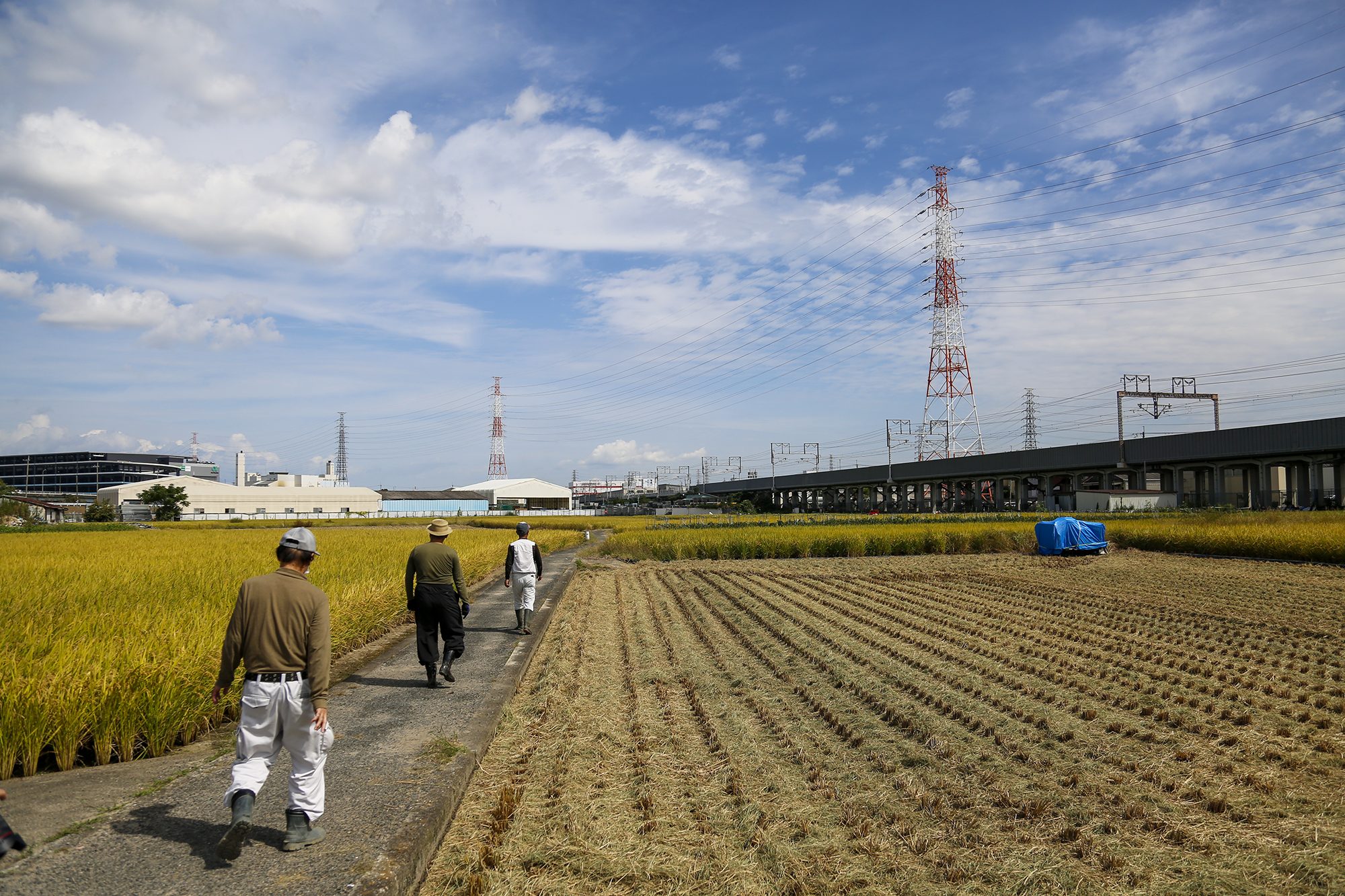 収穫作業に向かう人たち