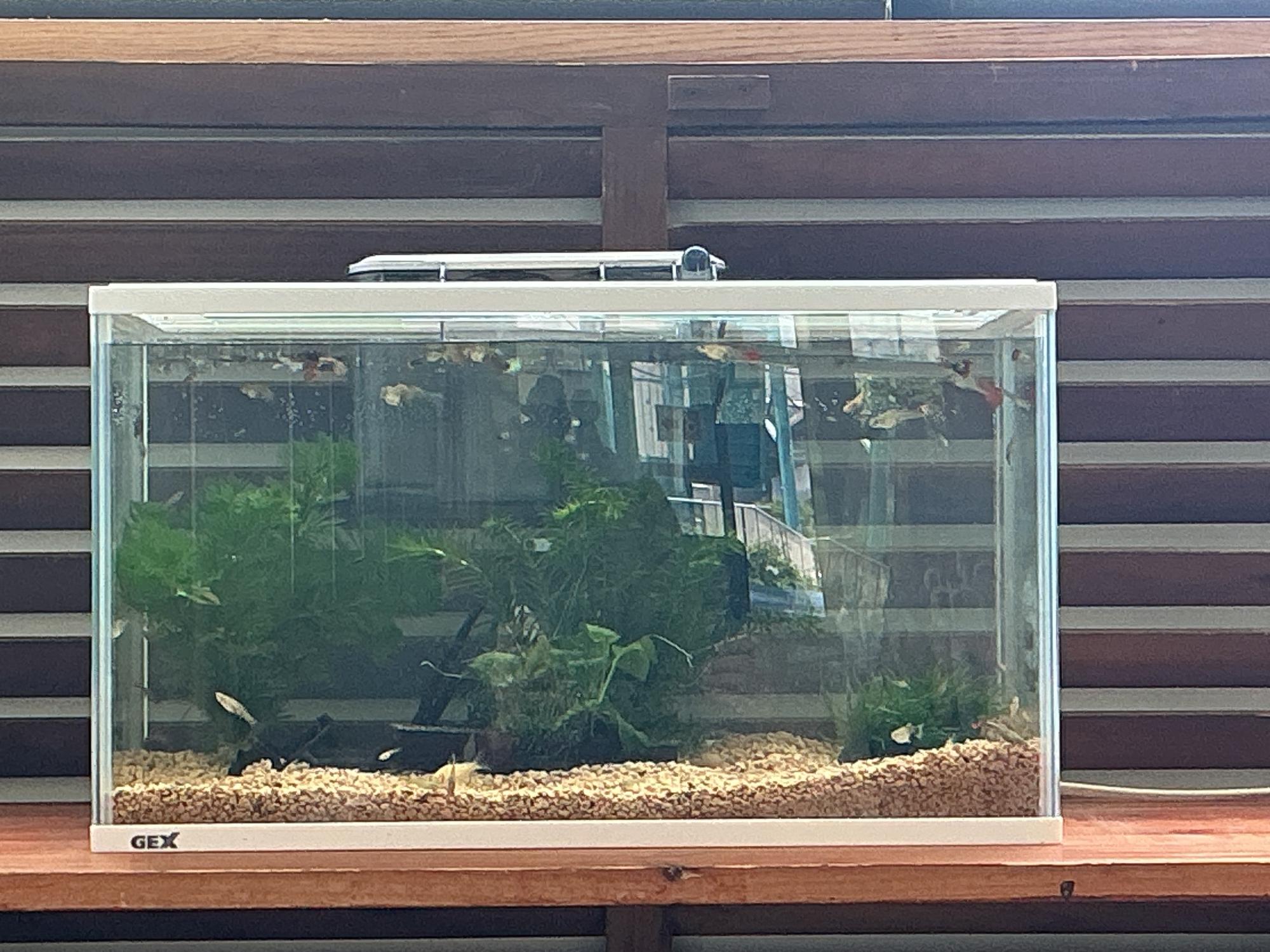 水槽