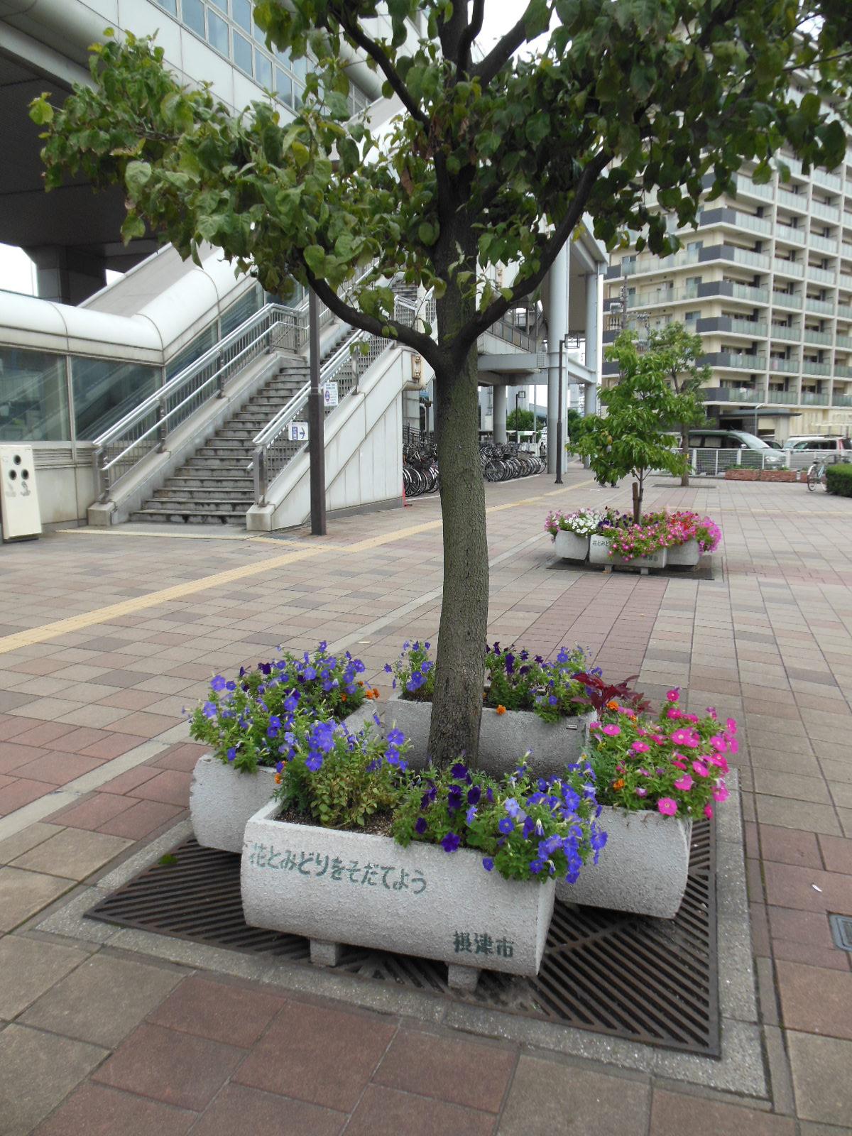 色とりどりの花が咲く南摂津駅前の花壇の写真