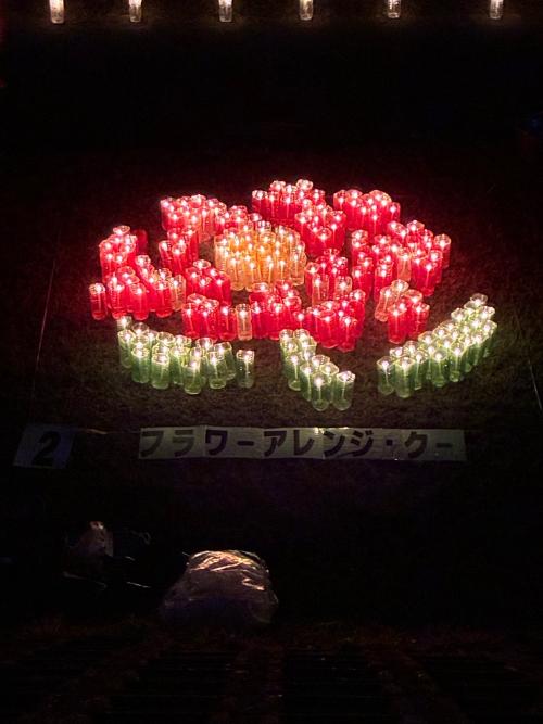 椿のような牡丹のような赤い光の花