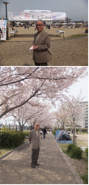 桜祭り明和池公園