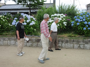 市場池紫陽花鑑賞2