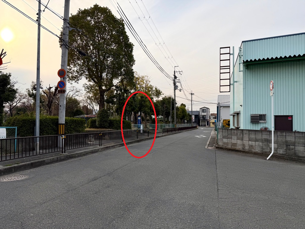 せんだん公園1