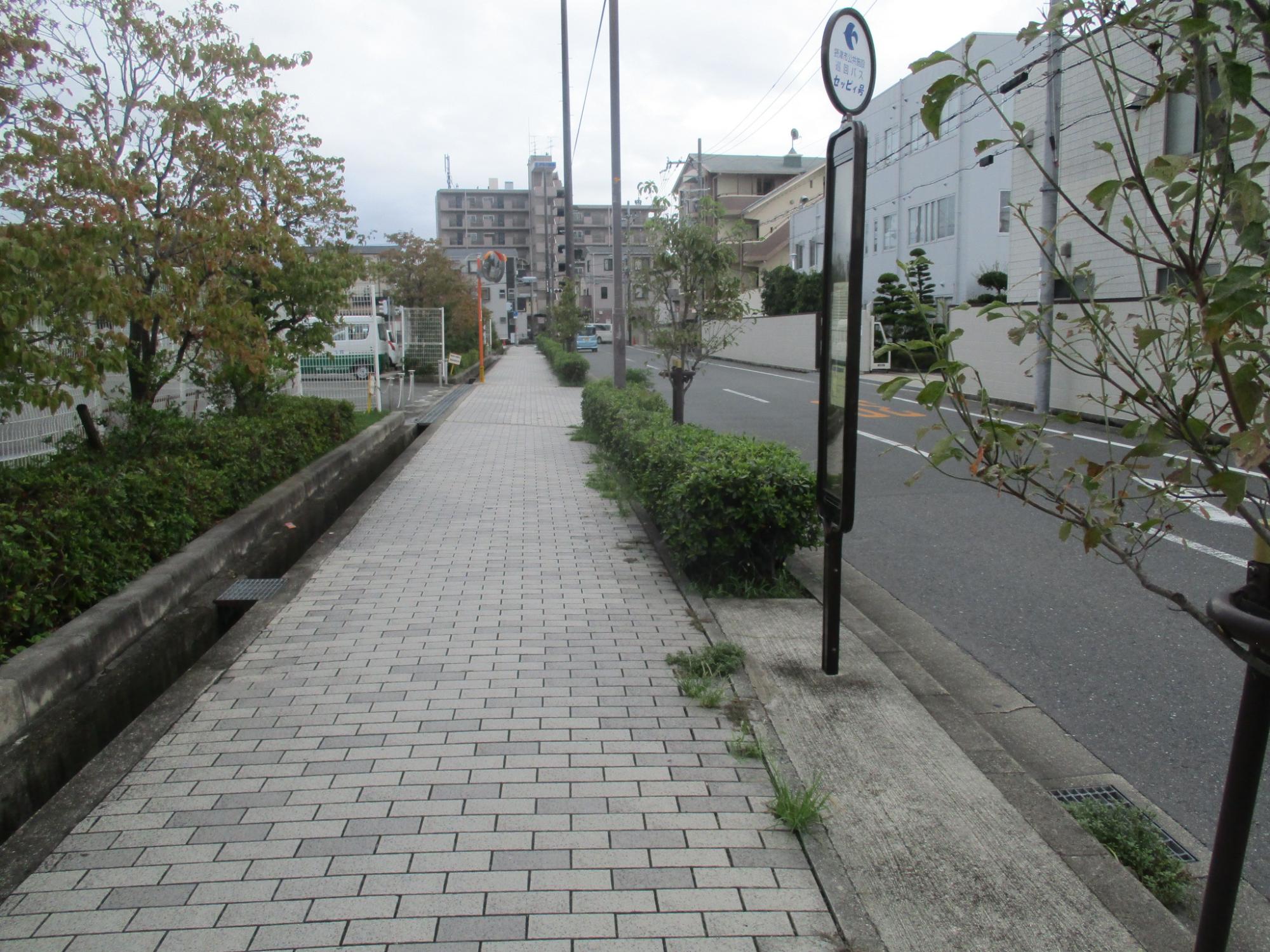 スポーツ広場1