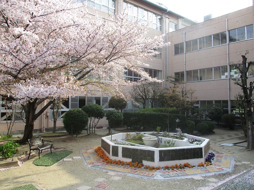 中庭の様子