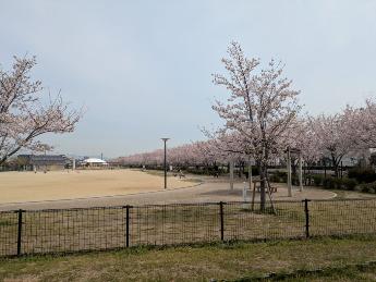R7明和池公園