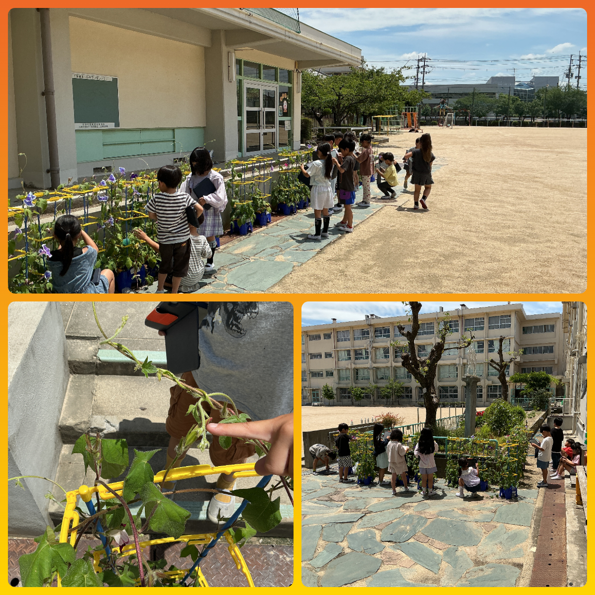 07031年生