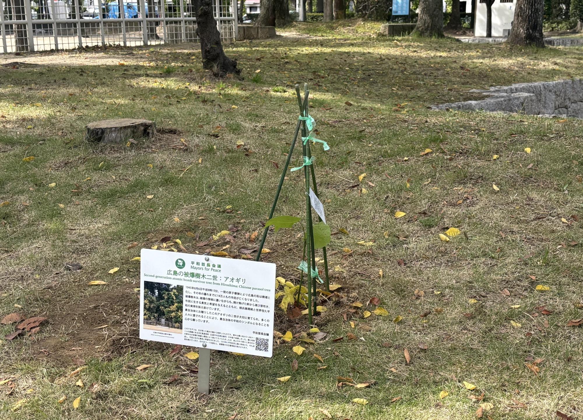 せんだん公園植樹（鳥飼東小学校）